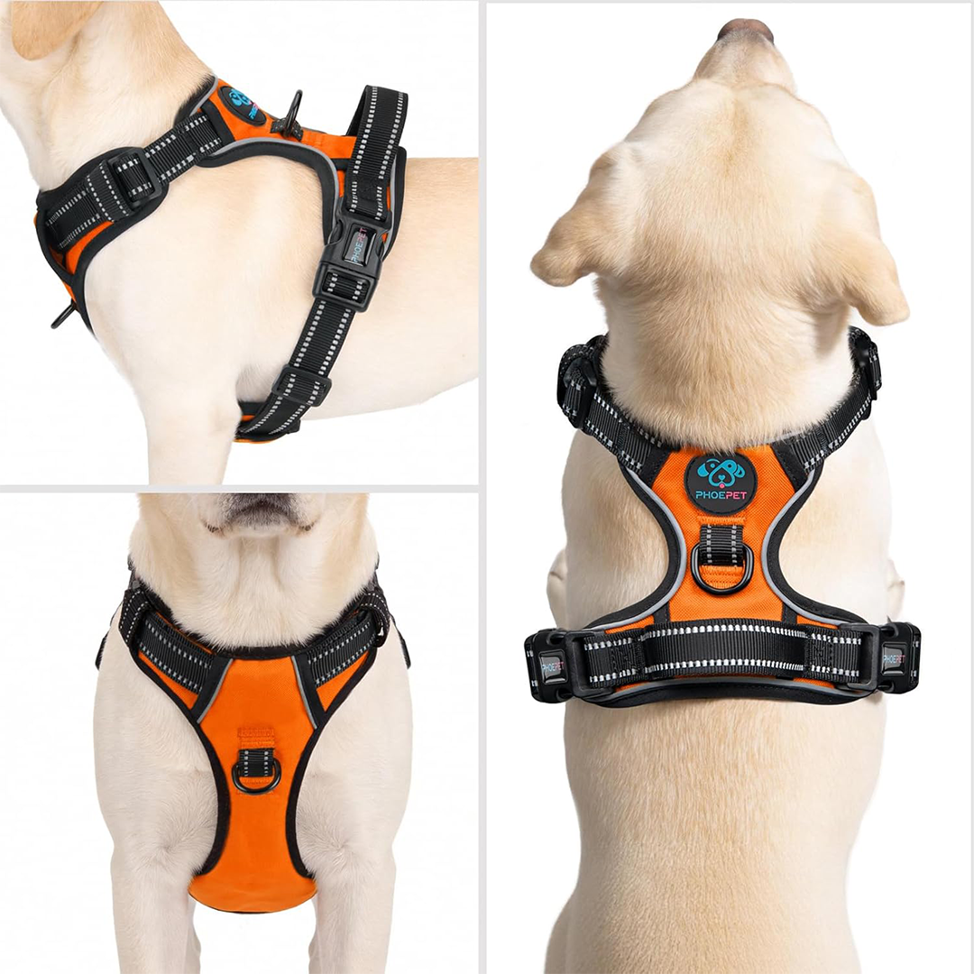 PHOEPET No Pull Dog Harness Medium Reflective Front Clip Puppy Vest with Handle,Adjustable 2 Metal Leash Attachment Hooks(M, Orange)